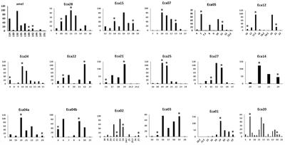 Development of a 17-Plex of Penta- and Tetra-Nucleotide Microsatellites for DNA Profiling and Paternity Testing in Horses